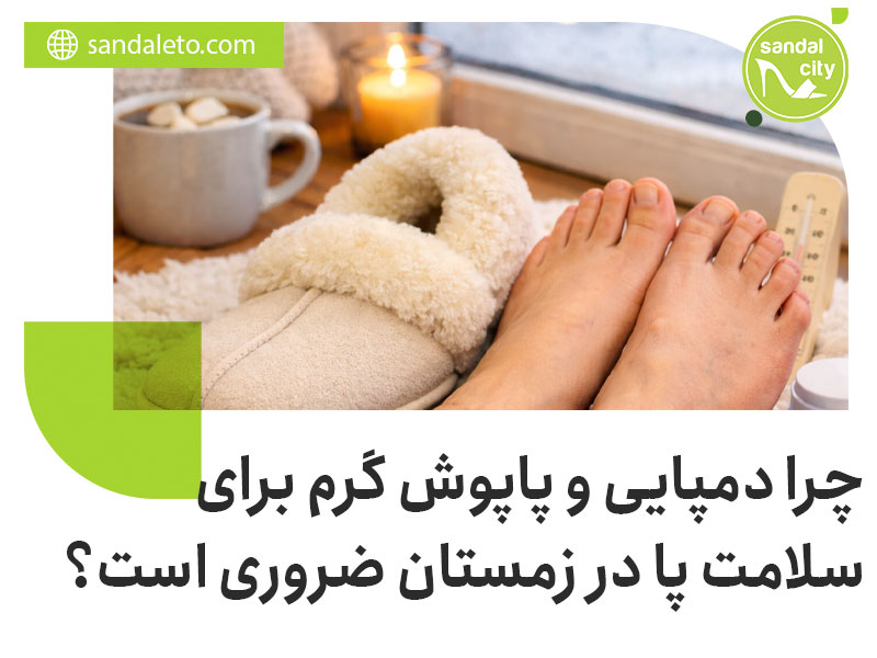 چرا دمپایی و پاپوش گرم برای سلامت پا در زمستان ضروری است؟